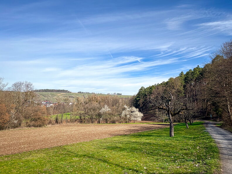 23-03-17 10-53-05 4882